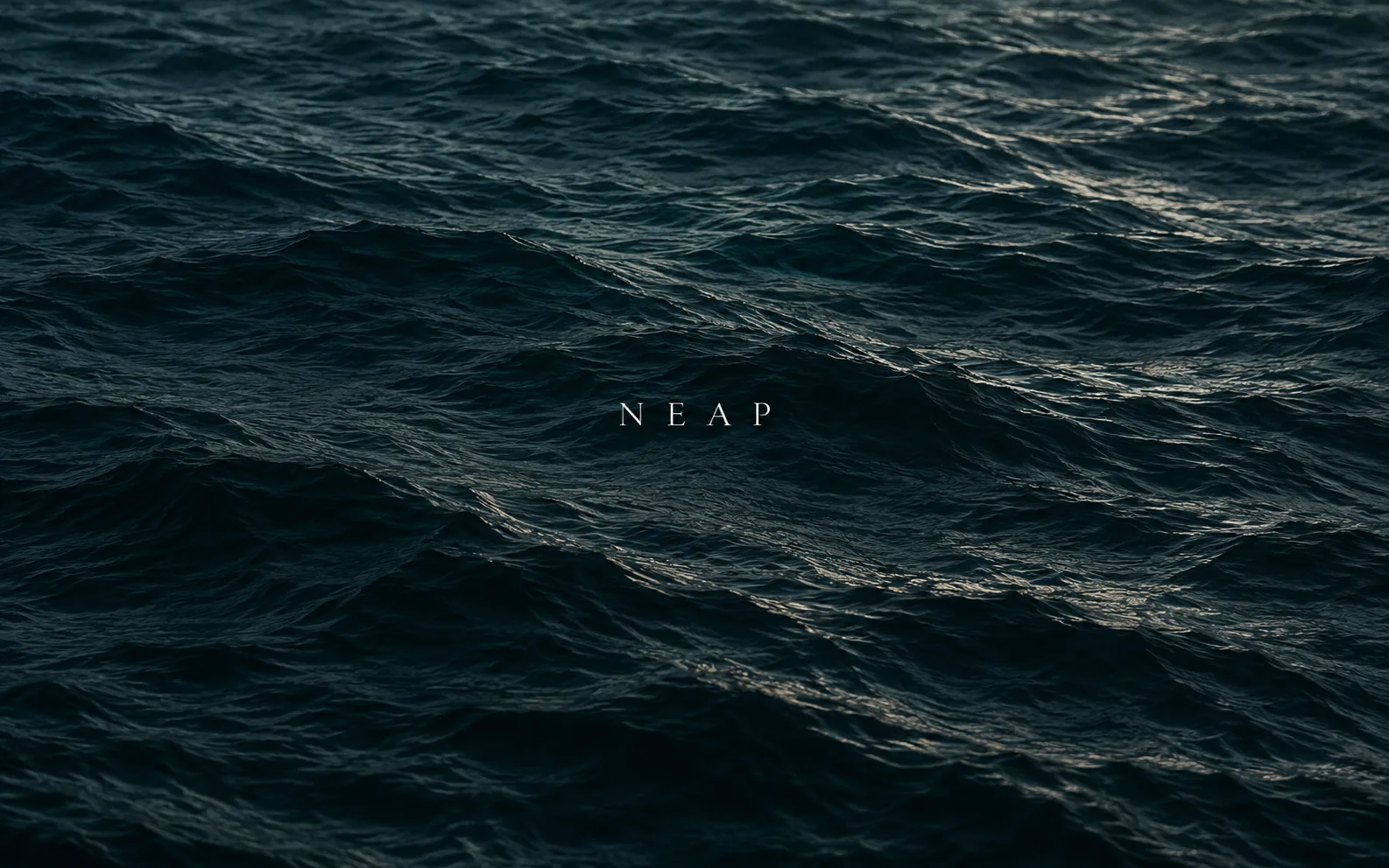 Neap: a dark, rippled expanse of open sea under low light, standing in for a tasting counter set to the tide.